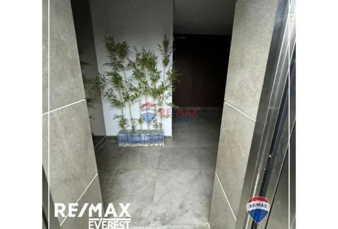 7916118 - Property Image 3