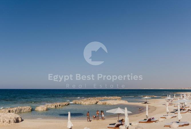 7939244 - صورة العقار 3