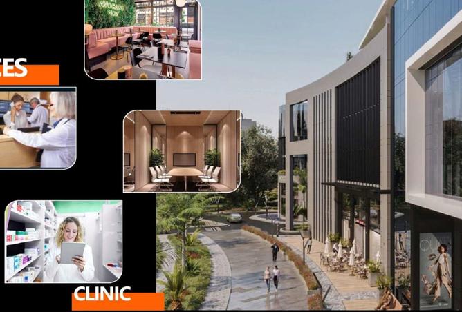 8337336 - Property Image 3