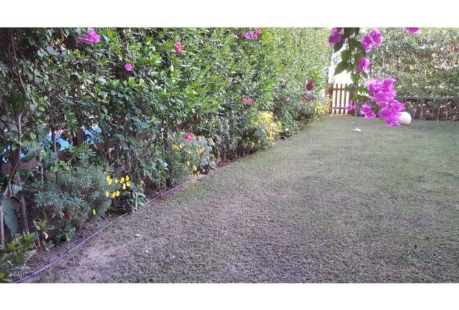 8492530 - Property Image 2