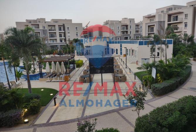 8139866 - Property Image 3