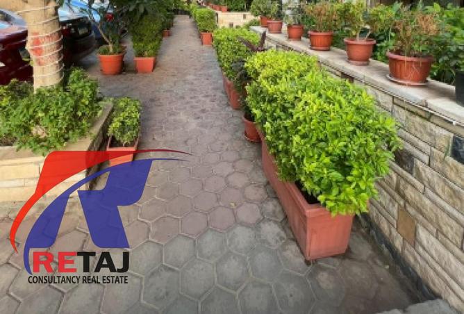 8269433 - Property Image 3