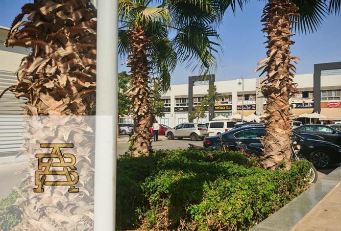 8235662 - Property Image 3