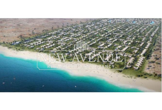 8291456 - صورة العقار 3