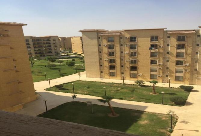 8151809 - صورة العقار 3