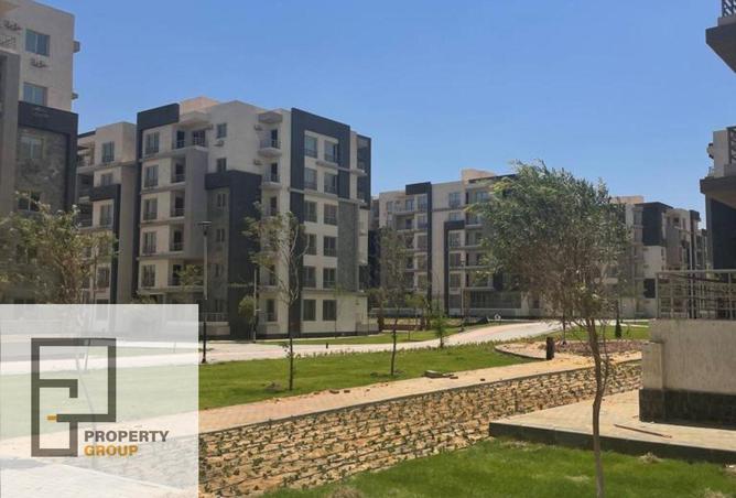8129794 - Property Image 3