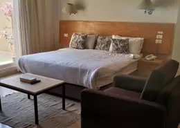 Apartment - 1 Bedroom - 1 Bathroom for rent in American University Housing District - 5th Settlement Compounds - The 5th Settlement - New Cairo City - Cairo