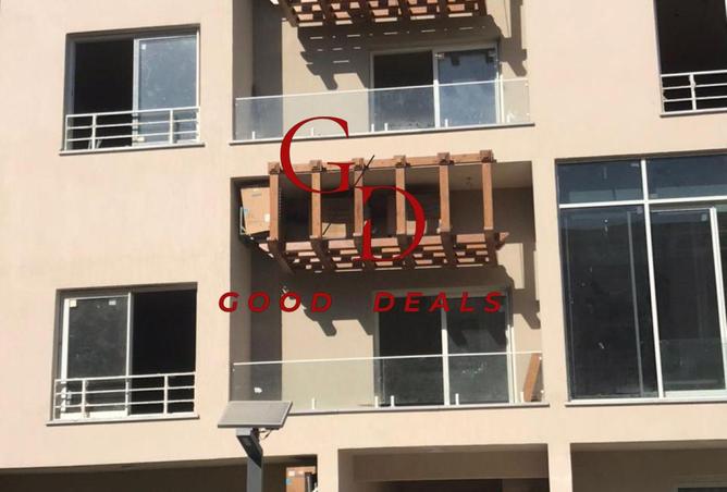 8431049 - Property Image 3