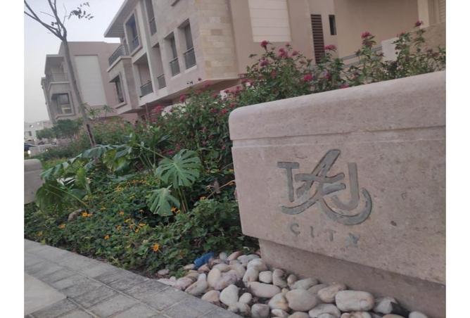 8284156 - Property Image 3