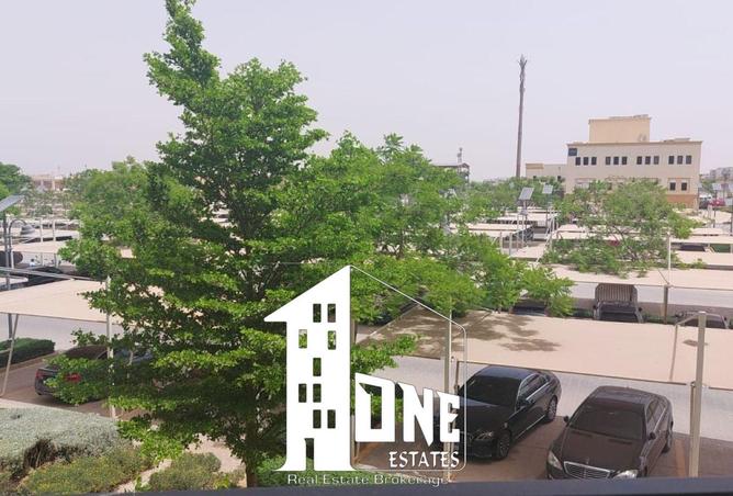 8439817 - Property Image 3