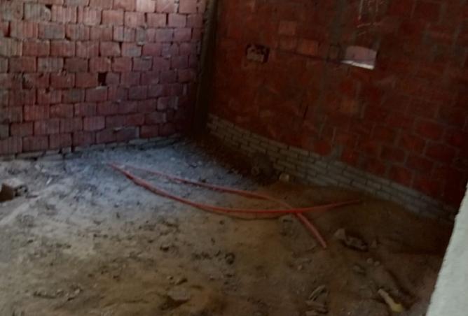8143397 - Property Image 3