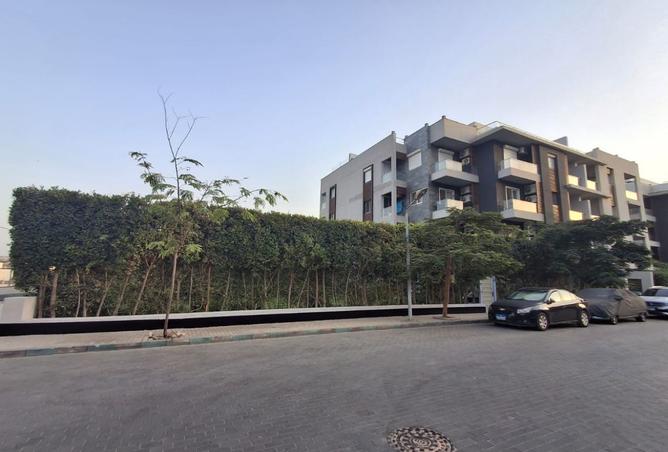 8436484 - Property Image 2