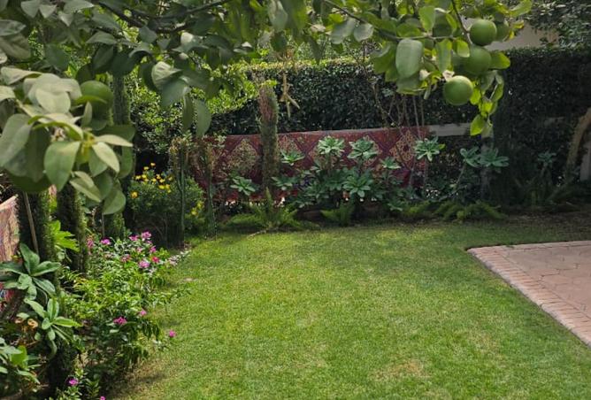 8090317 - الصورة الرئيسية للعقار