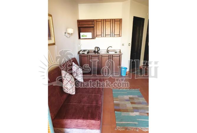 8117356 - Property Image 3