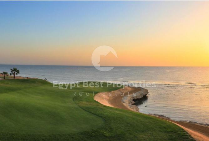 7929753 - Property Image 3