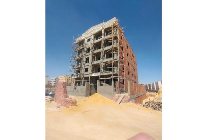 8050025 - صورة العقار 2