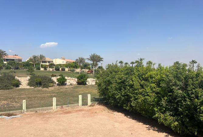 8204844 - Property Image 3