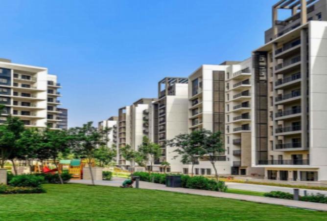 8432573 - Property Image 3