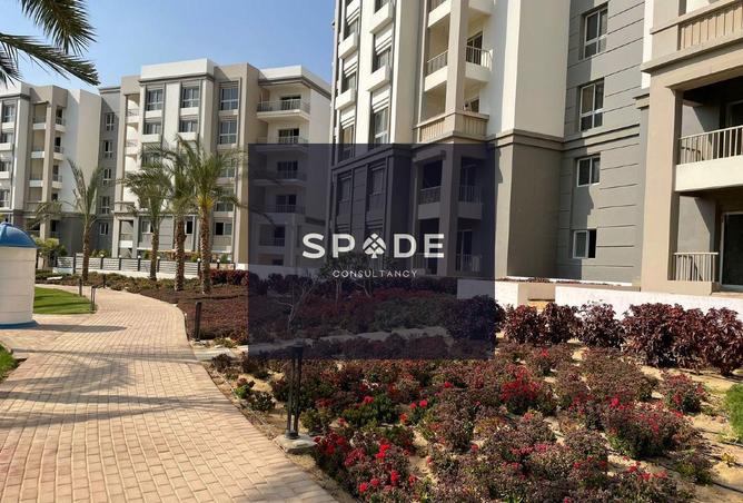 8038860 - Property Image 3