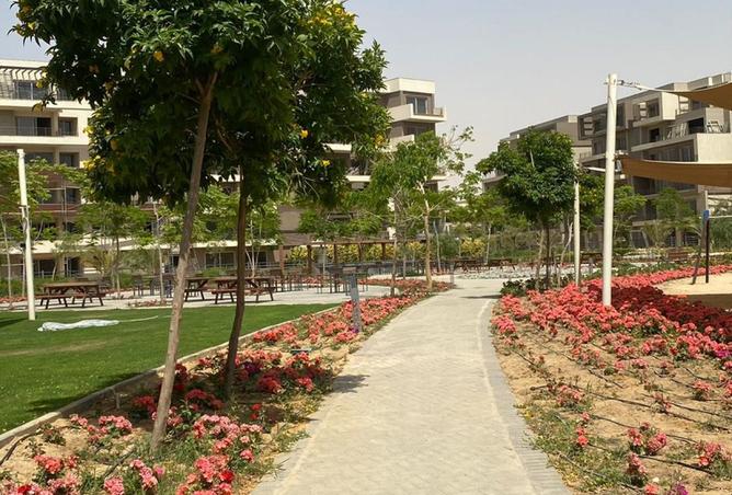 8150090 - صورة العقار 3