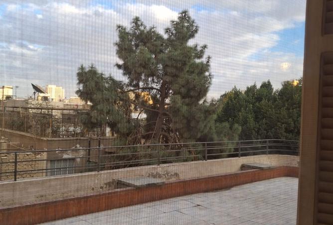 8439443 - صورة العقار 2