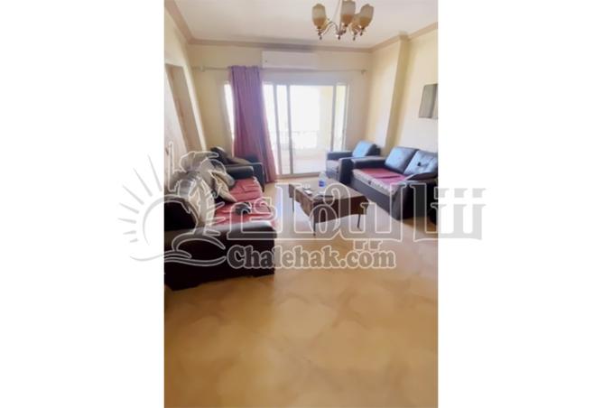 8078897 - Property Image 3