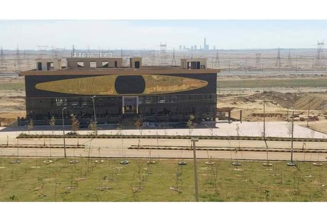 8194585 - صورة العقار 2