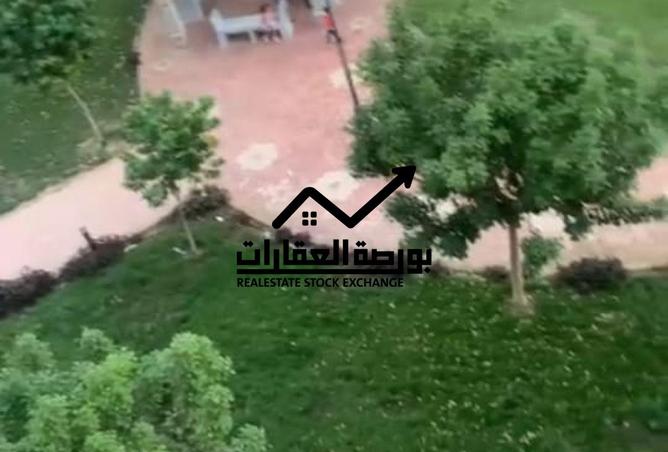 8059349 - صورة العقار 2