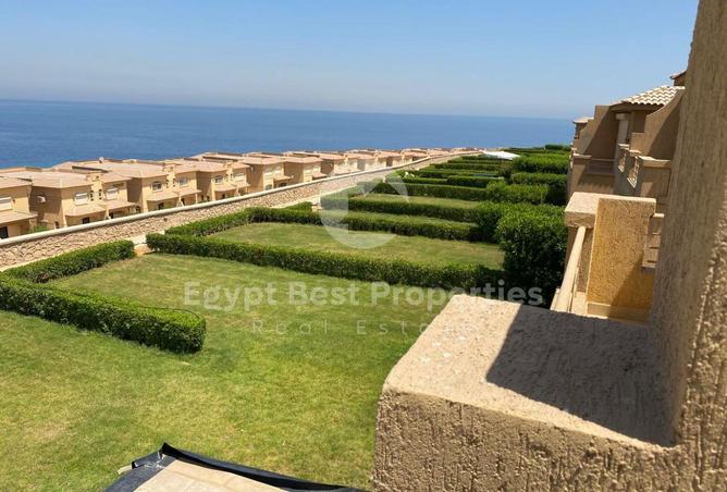 8295544 - صورة العقار 3