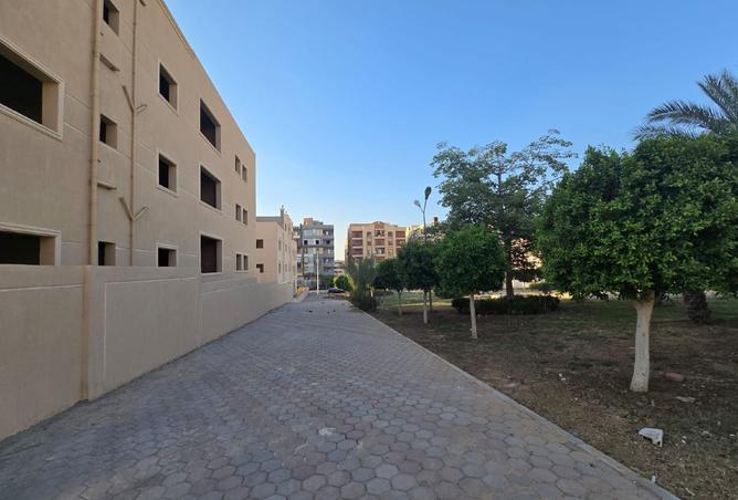 7955697 - صورة العقار 2