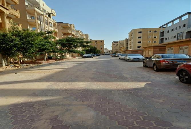 7953358 - صورة العقار 3