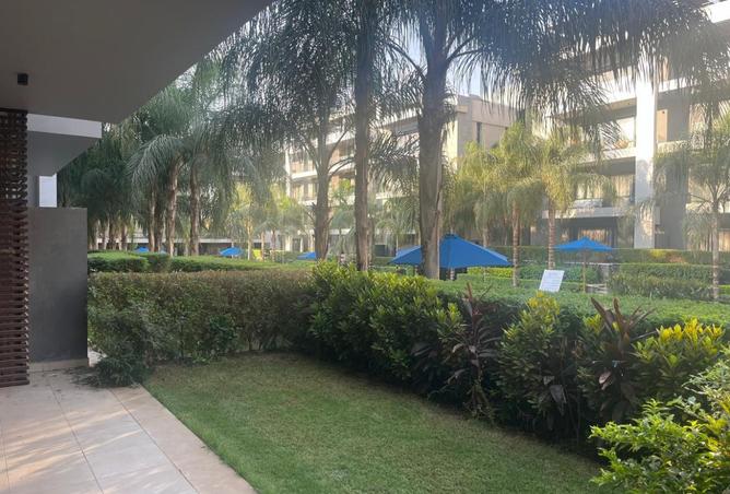 7907768 - صورة العقار 3