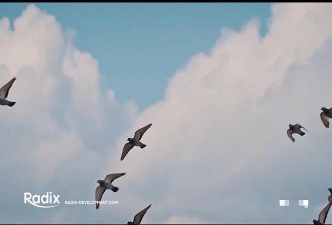 8274735 - Property Image 3