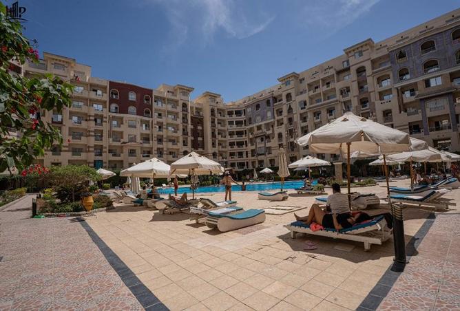 7988973 - Property Image 3