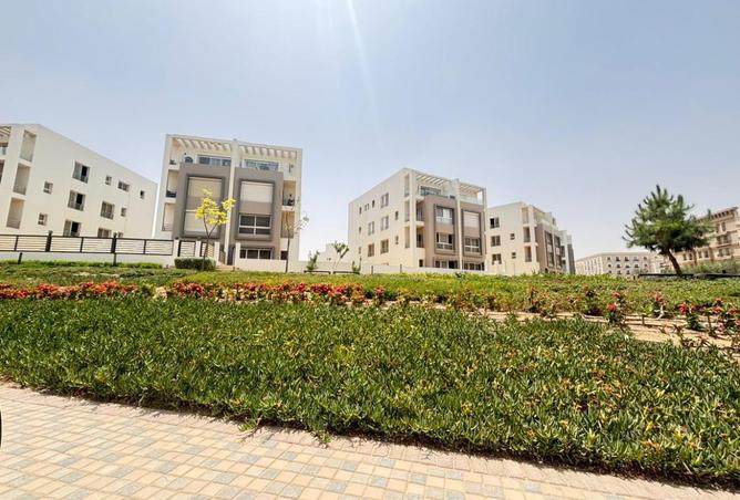 7918758 - صورة العقار 2