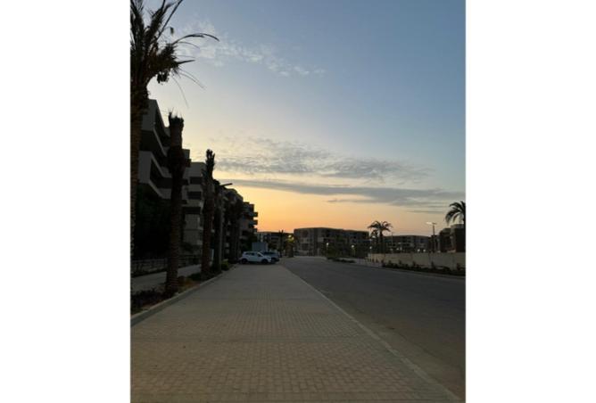 8450212 - Property Image 3