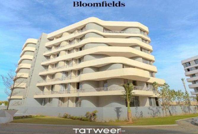 8353010 - Property Image 3