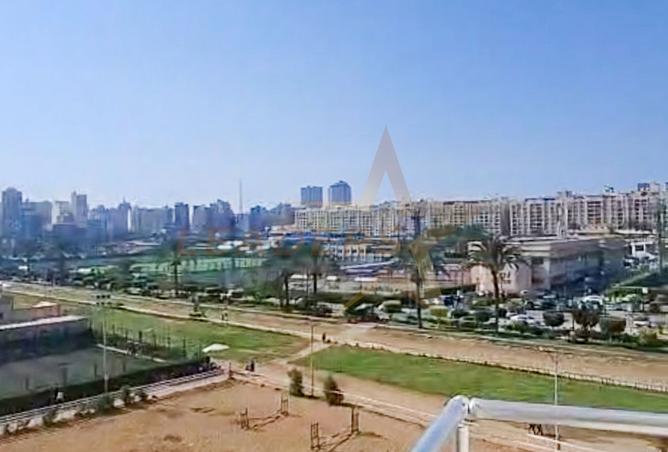 7910734 - Property Image 3