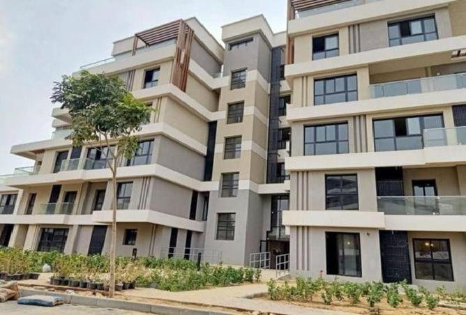 8216253 - Property Image 2