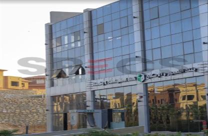 Office Space - Studio for rent in Palm Hills October - Cairo Alexandria Desert Road - 6 October City - Giza