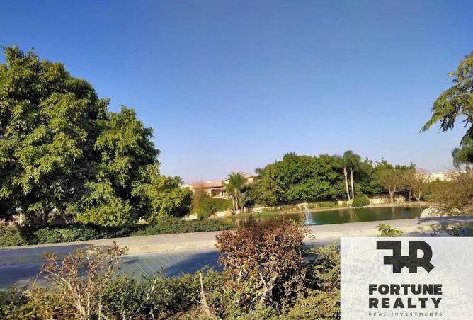 8501337 - Property Image 3