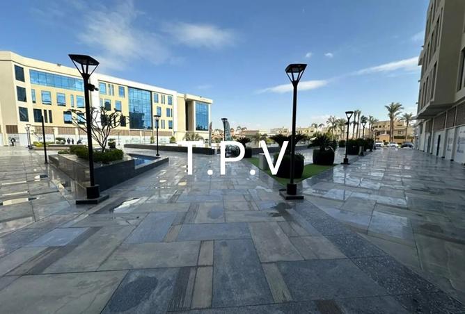 8355458 - Property Image 3