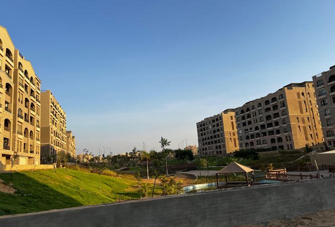 8384390 - Property Image 3