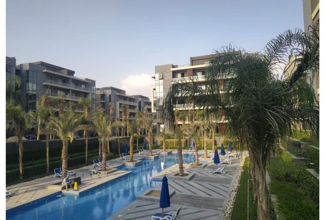 7977287 - Property Image 3