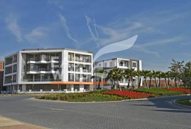 7967507 - Property Image 3