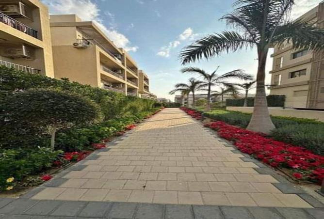 7990265 - صورة العقار 2