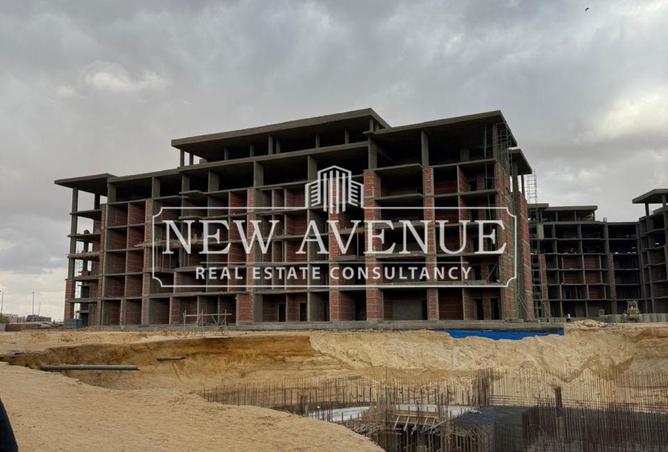 8419603 - Property Image 3