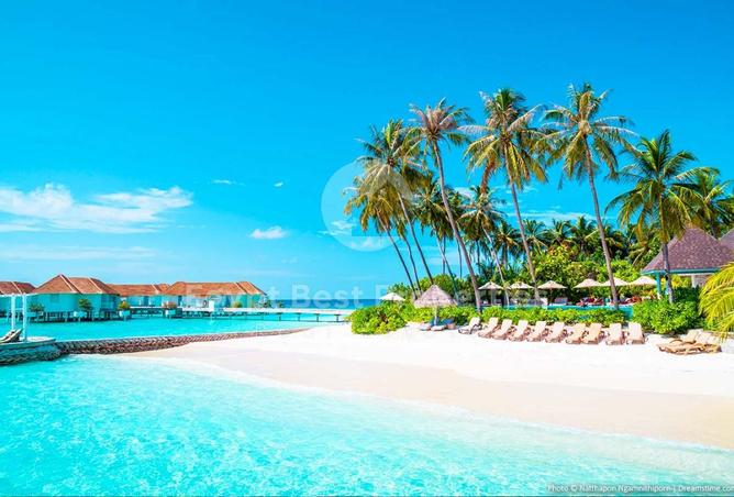 8537570 - صورة العقار 2