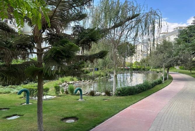 8174077 - صورة العقار 2