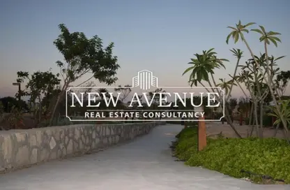 تاون هاوس - 3 غرف نوم - 4 حمامات للبيع في سيزر - قسم مرسي مطروح - الساحل الشمالي